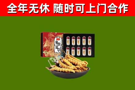钦北区烟酒回收冬虫夏草礼盒.jpg