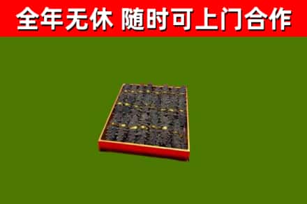 钦北区回收海参